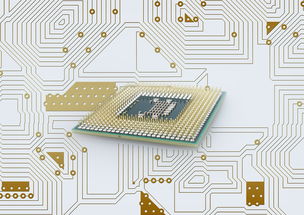 九游体育入口-中国篮球联赛品牌建设策略与粉丝经济发展路径研究，篮球品牌市场占有率