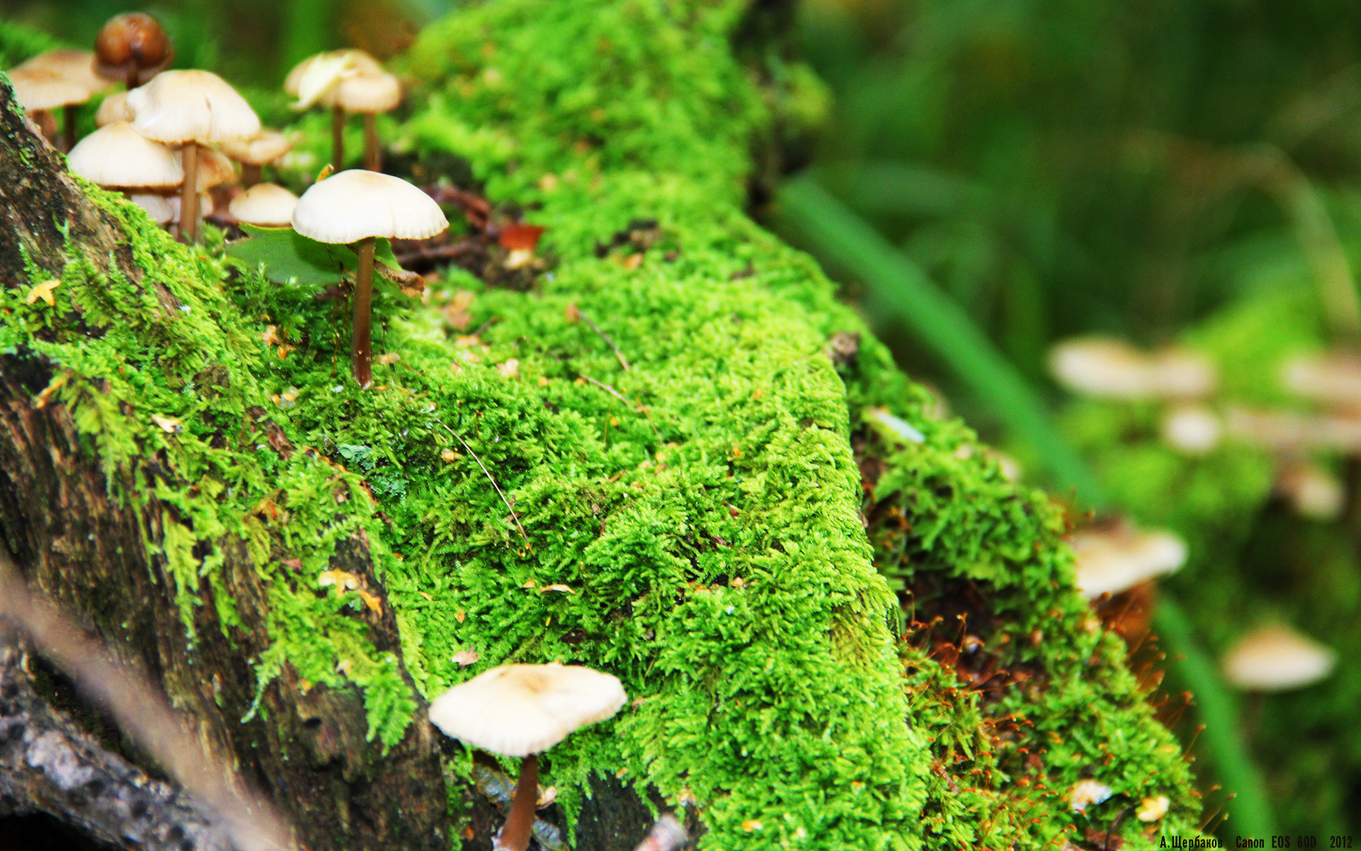 九游体育下载-图赫尔战术调整助切尔西突破重围，图赫尔执教切尔西用什么阵型