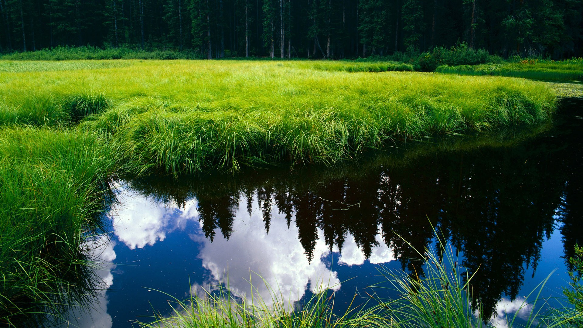 五大联赛争冠形势逐渐明朗，五大联赛精彩程度