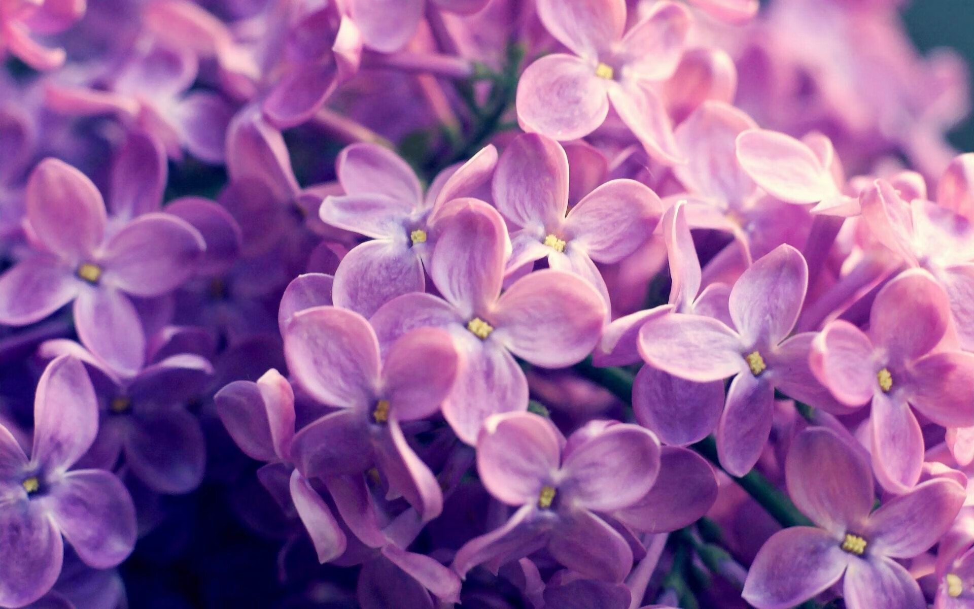 国际赛事义卖活动筹资助学，社会影响力扩大，义卖捐赠活动的意义