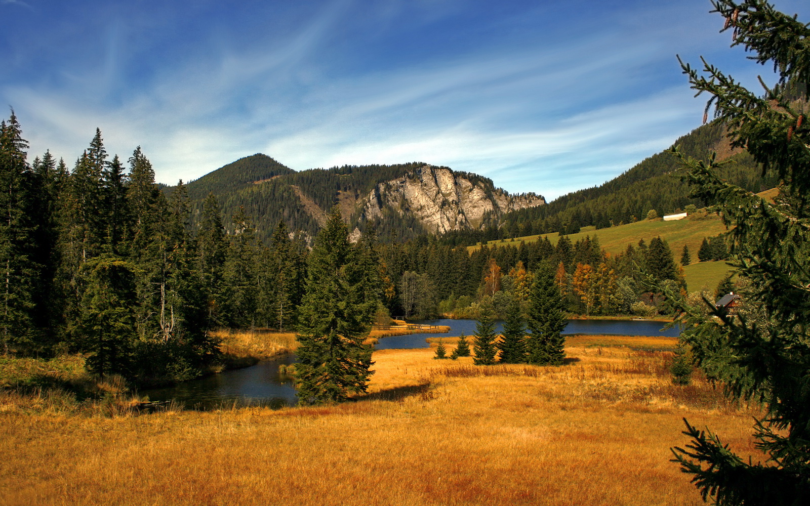多功能足球场设计融入未来城市景观设计理念，专业足球场设计