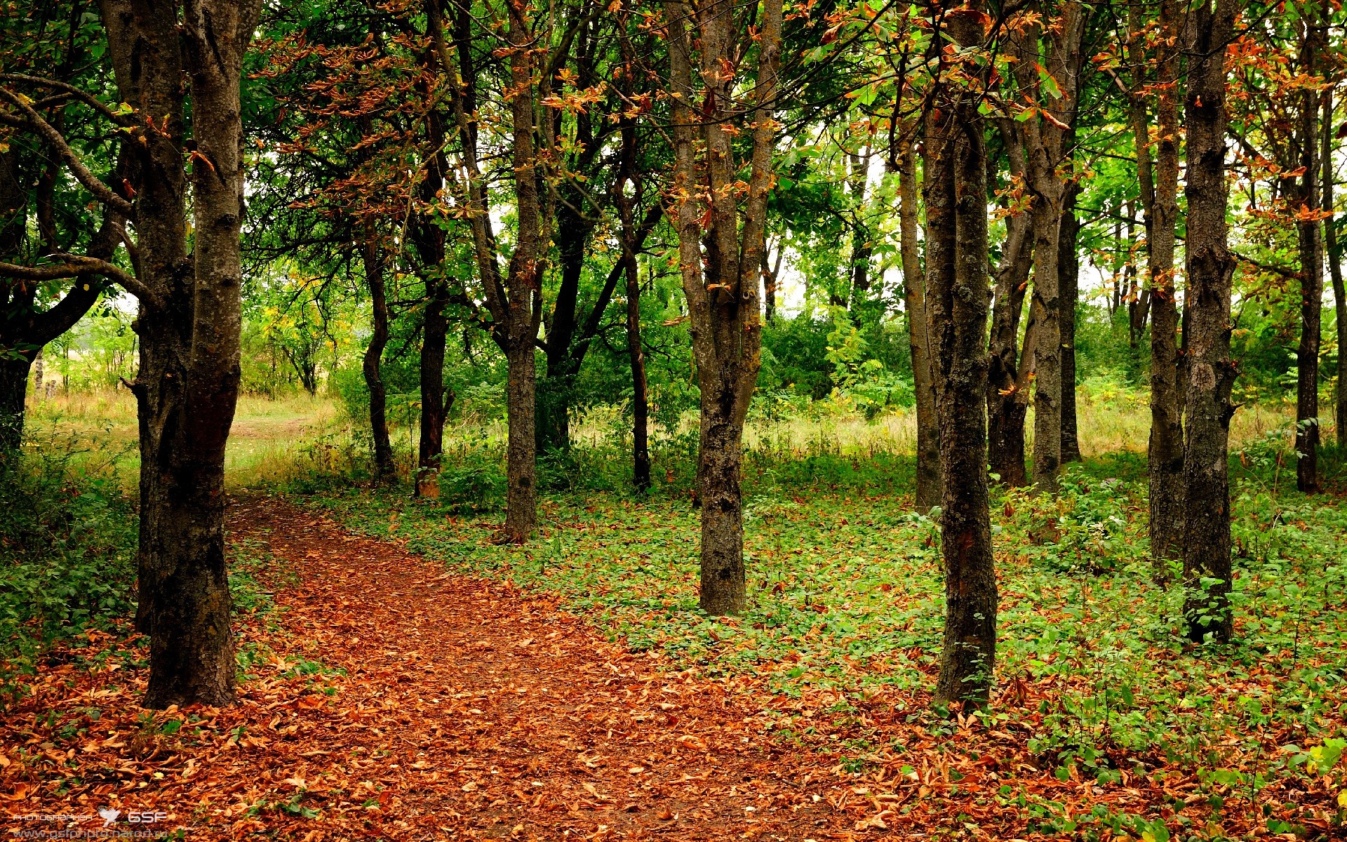 快船推出球迷定制球衣活动引爆官网流量，快船队的球衣