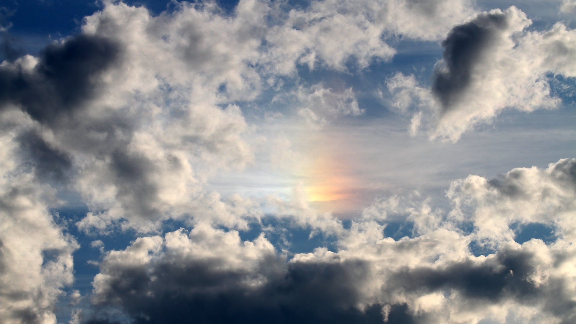 橄榄球场地共享模式成新趋势，橄榄球场地详解