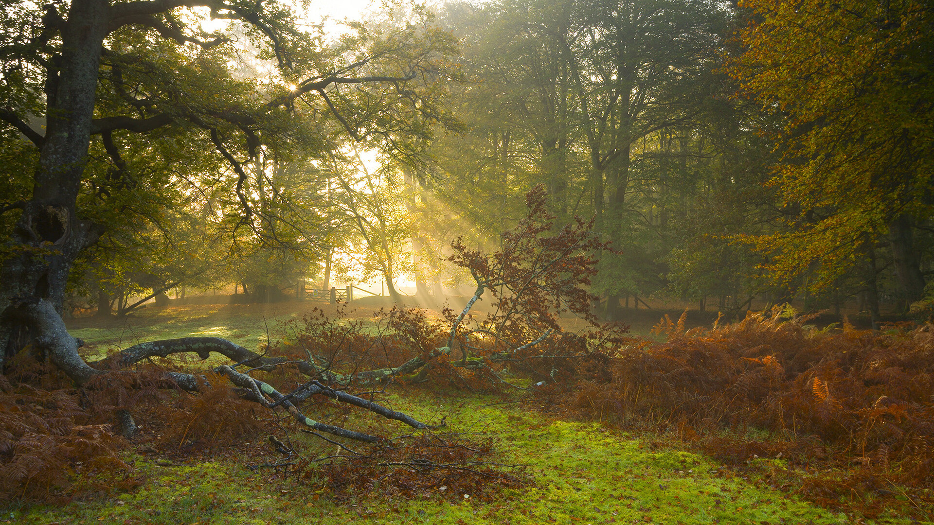 王楚钦赛后分析对手变化策略，王楚钦比赛汇总